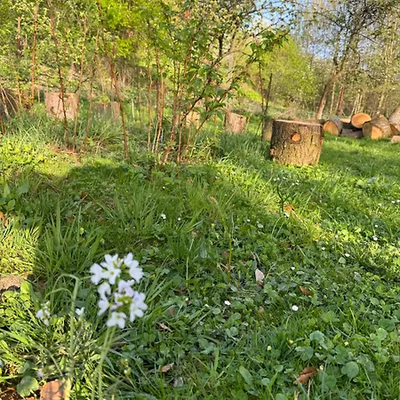 펜션 Zdzisiowka 발림