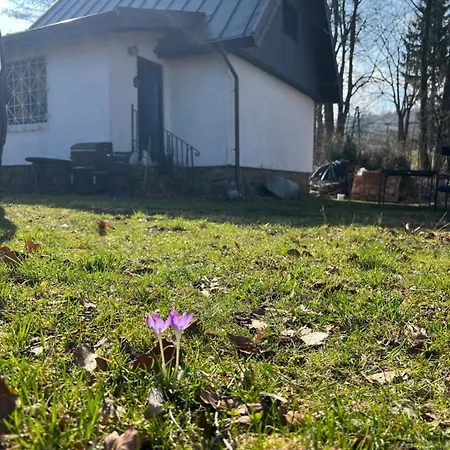Nyaraló Zdzisiowka *