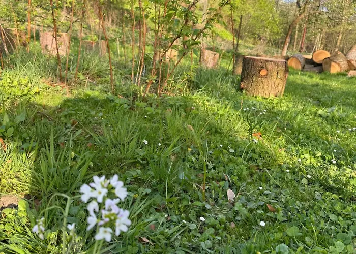 Дом отдыха Zdzisiowka Валим