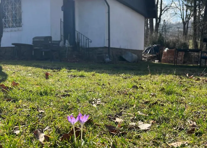 Дом отдыха Zdzisiowka *