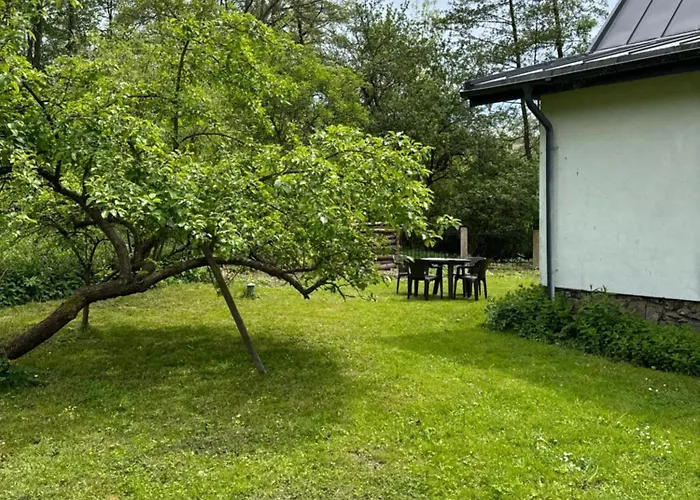 Zdzisiowka * Валим